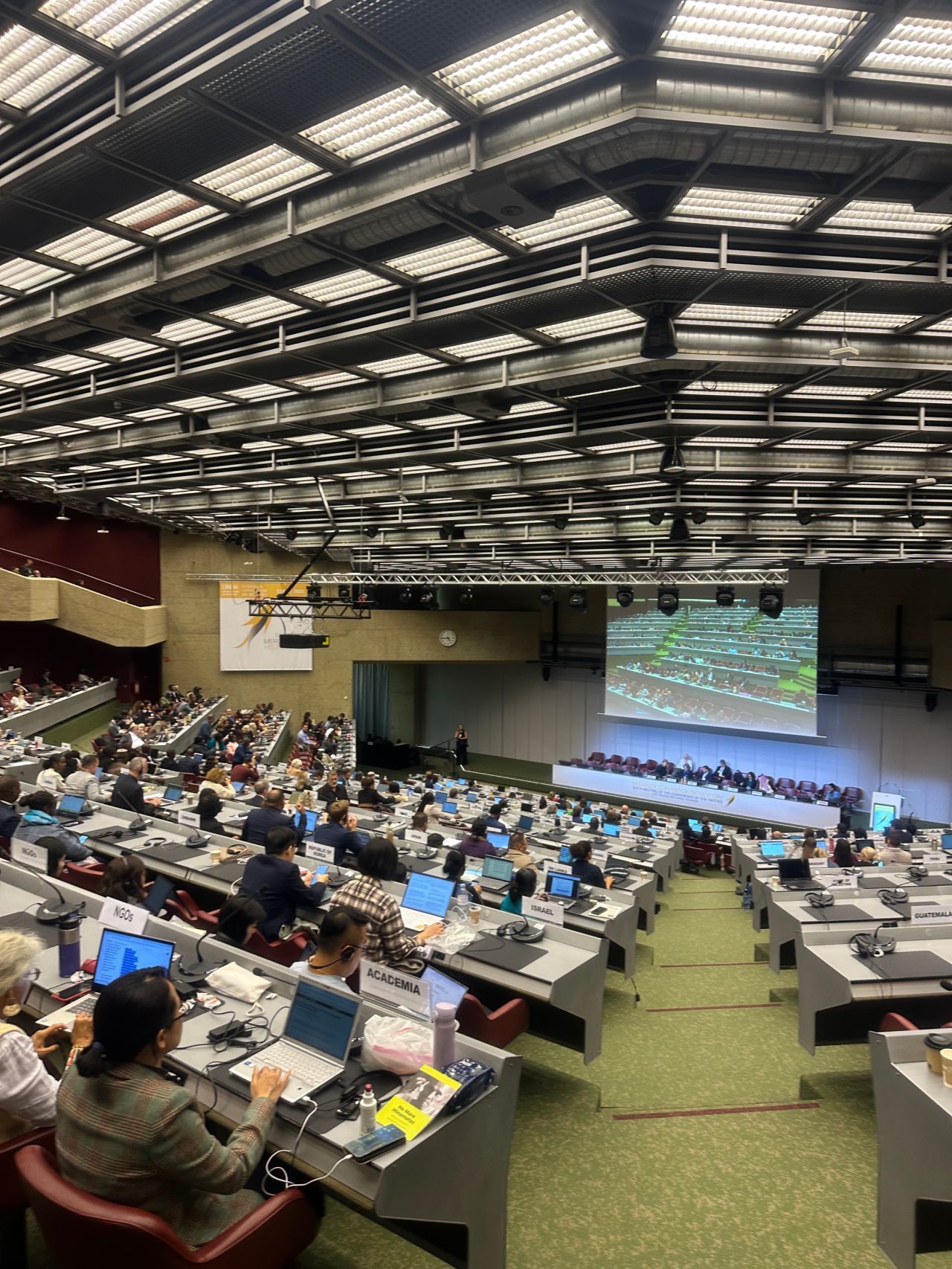 Plenária da COP-6 da Convenção de Minamata sobre Mercúrio, na ONU em Genebra